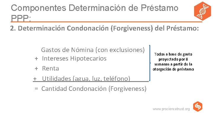 Componentes Determinación de Préstamo PPP: 2. Determinación Condonación (Forgiveness) del Préstamo: + + +