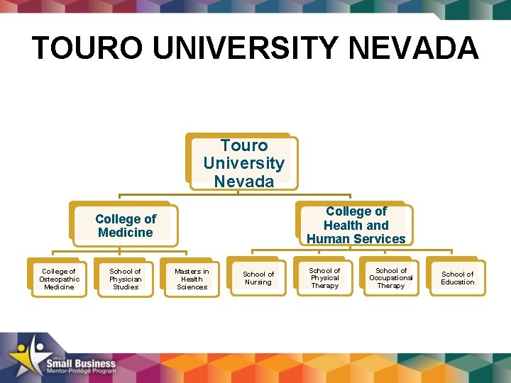 TOURO UNIVERSITY NEVADA Touro University Nevada College of Health and Human Services College of