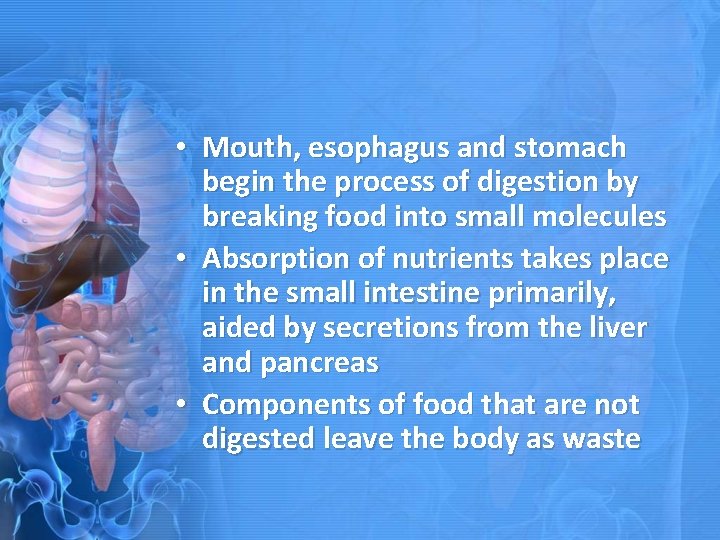  • Mouth, esophagus and stomach begin the process of digestion by breaking food