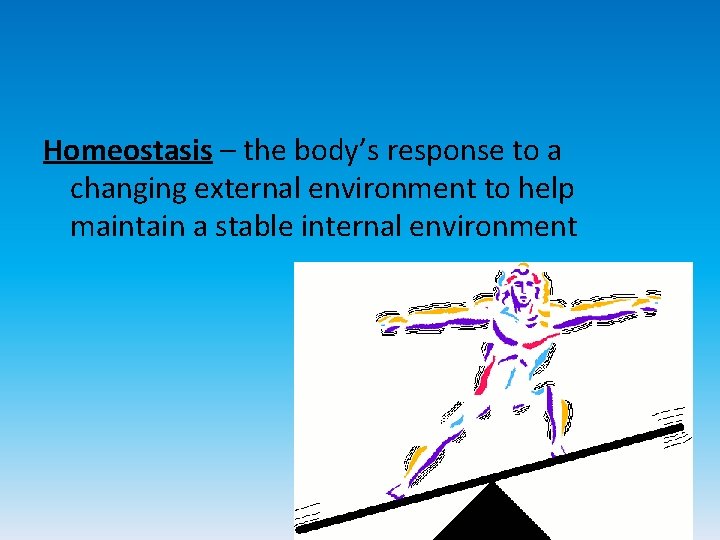 Homeostasis – the body’s response to a changing external environment to help maintain a