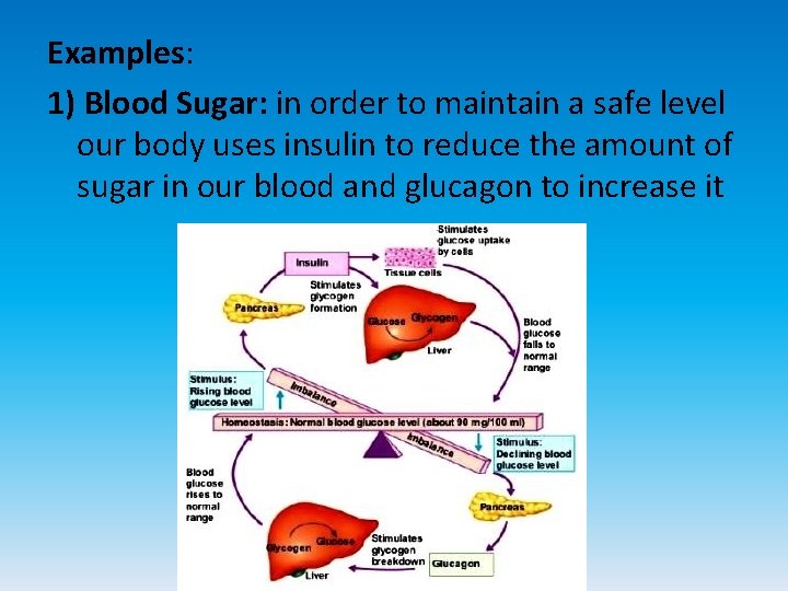 Examples: 1) Blood Sugar: in order to maintain a safe level our body uses