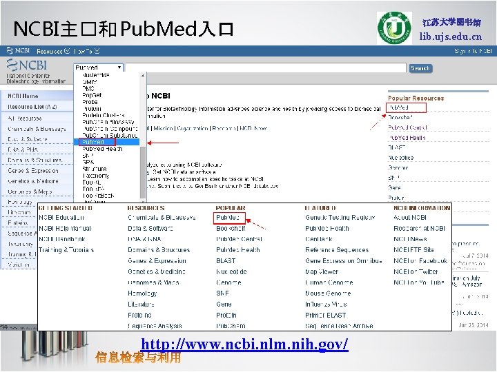 NCBI主�和 Pub. Med入口 http: //www. ncbi. nlm. nih. gov/ lib. ujs. edu. cn 