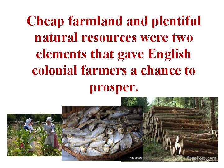 Cheap farmland plentiful natural resources were two elements that gave English colonial farmers a