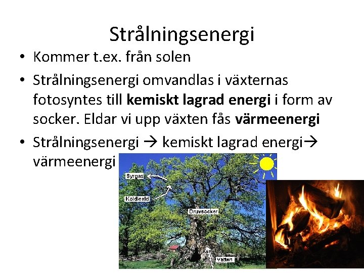 Strålningsenergi • Kommer t. ex. från solen • Strålningsenergi omvandlas i växternas fotosyntes till