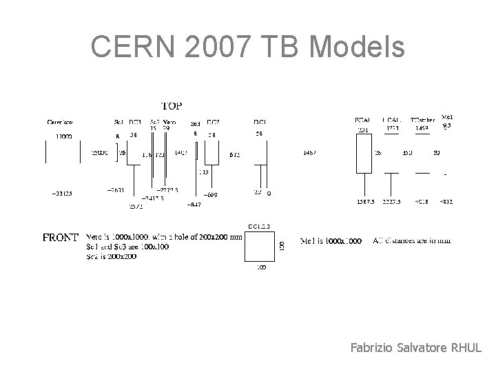 CERN 2007 TB Models Fabrizio Salvatore RHUL 