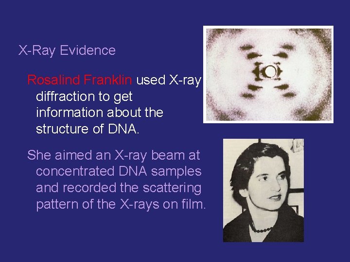 X-Ray Evidence Rosalind Franklin used X-ray diffraction to get information about the structure of