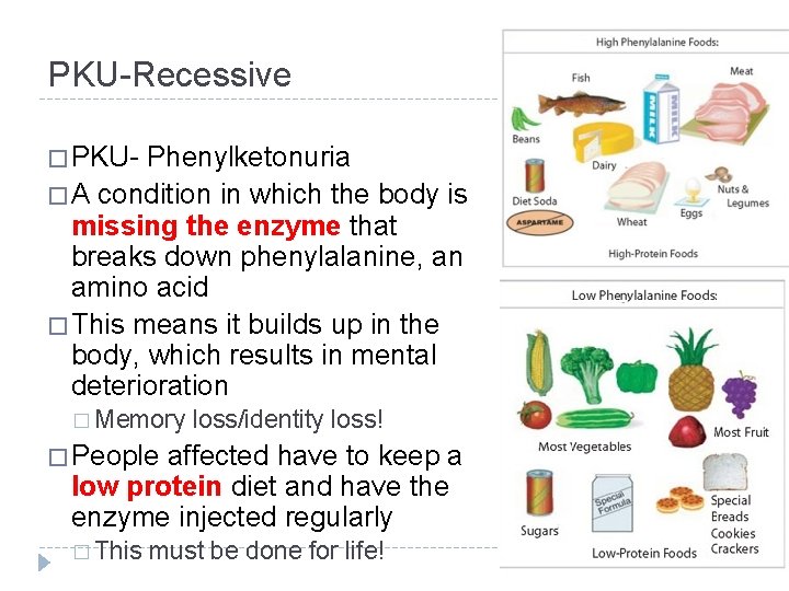 PKU-Recessive � PKU- Phenylketonuria � A condition in which the body is missing the