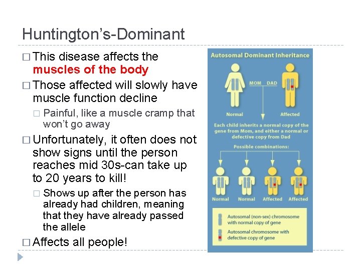 Huntington’s-Dominant � This disease affects the muscles of the body � Those affected will