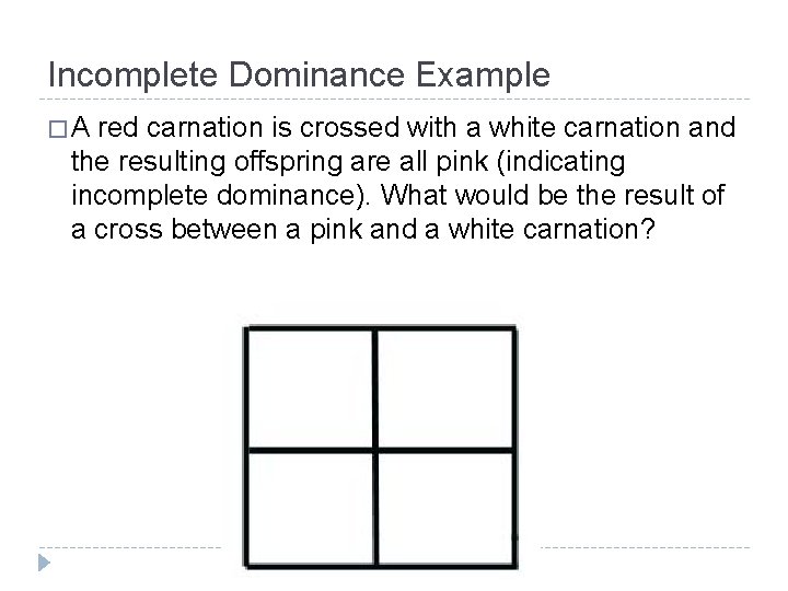 Incomplete Dominance Example �A red carnation is crossed with a white carnation and the