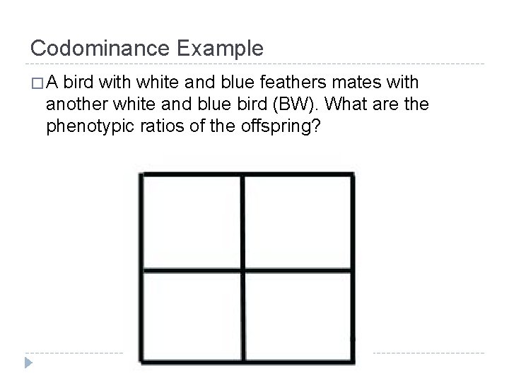 Codominance Example �A bird with white and blue feathers mates with another white and