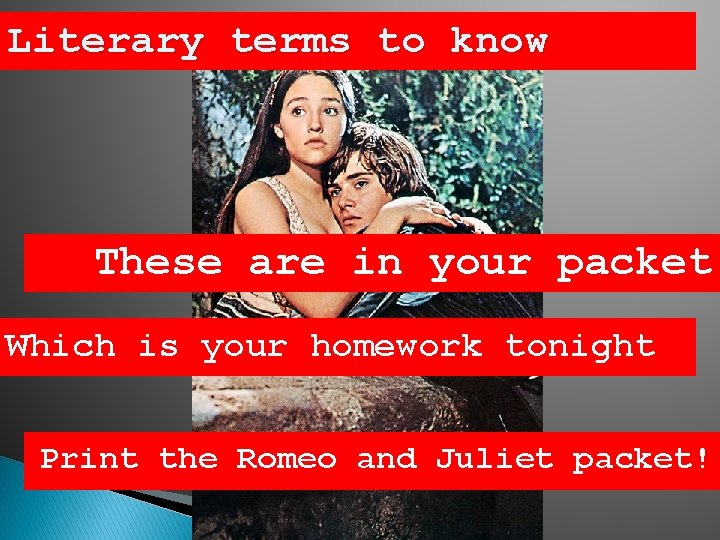 Literary terms to know These are in your packet Which is your homework tonight