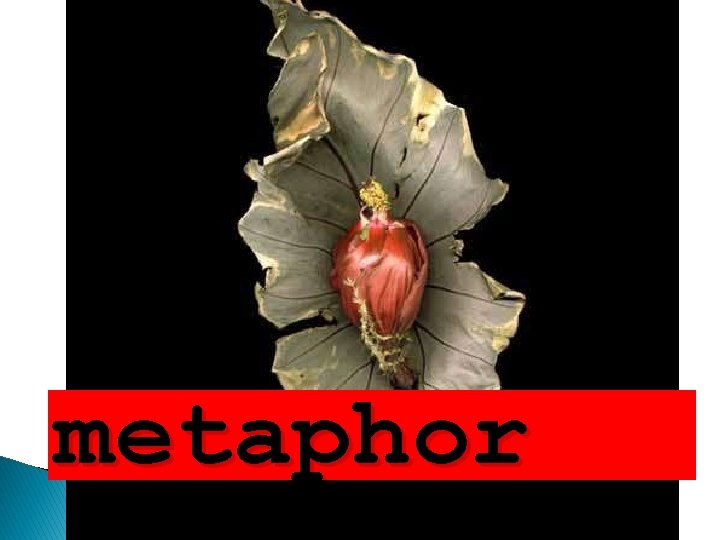 metaphor 
