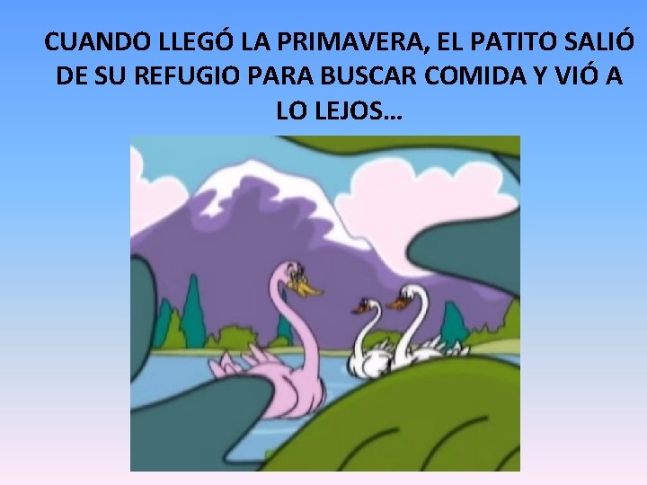 CUANDO LLEGÓ LA PRIMAVERA, EL PATITO SALIÓ DE SU REFUGIO PARA BUSCAR COMIDA Y