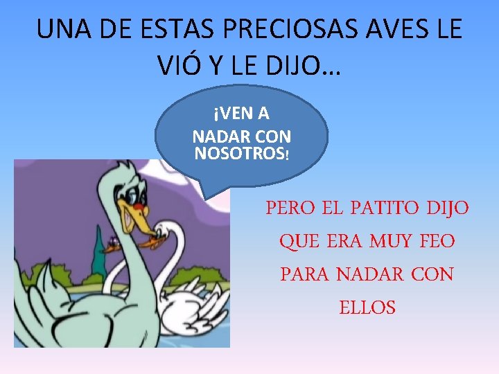UNA DE ESTAS PRECIOSAS AVES LE VIÓ Y LE DIJO… ¡VEN A NADAR CON