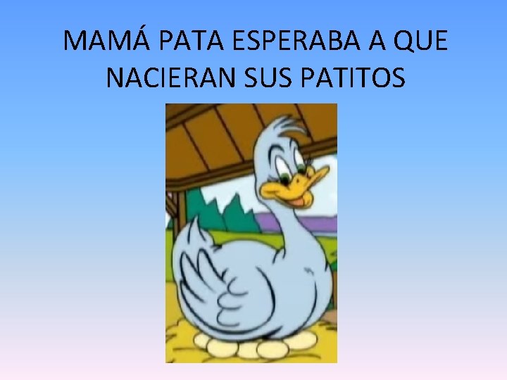 MAMÁ PATA ESPERABA A QUE NACIERAN SUS PATITOS 