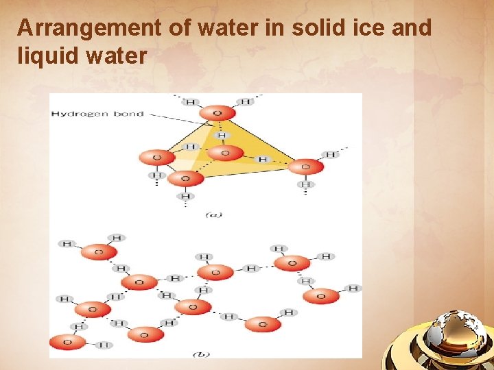 Arrangement of water in solid ice and liquid water 