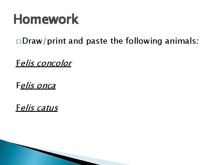 Homework � Draw/print and paste the following animals: Felis concolor Felis onca Felis catus
