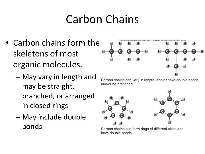 Carbon Chains • Carbon chains form the skeletons of most organic molecules. – May