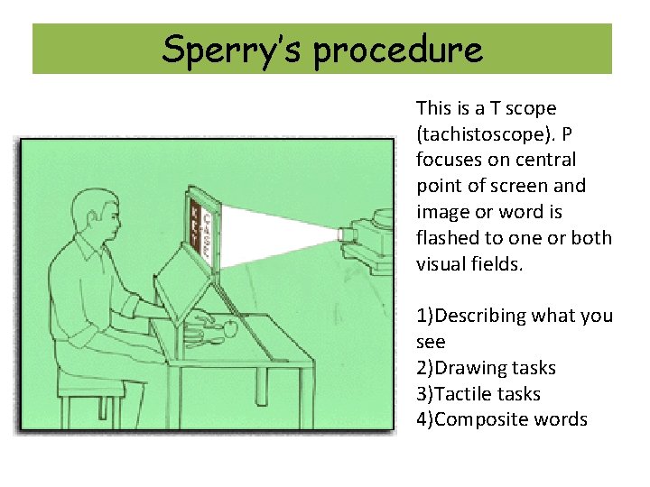 Sperry’s procedure This is a T scope (tachistoscope). P focuses on central point of Sperry’s procedure This is a T scope (tachistoscope). P focuses on central point of