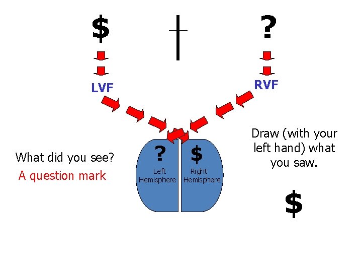 $ ? LVF RVF What did you see? A question mark ? Left Hemisphere $ ? LVF RVF What did you see? A question mark ? Left Hemisphere