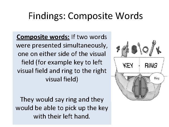 Findings: Composite Words Composite words: If two words were presented simultaneously, one on either Findings: Composite Words Composite words: If two words were presented simultaneously, one on either