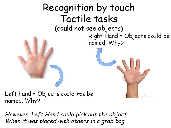 Recognition by touch Tactile tasks (could not see objects) Right Hand = Objects could Recognition by touch Tactile tasks (could not see objects) Right Hand = Objects could