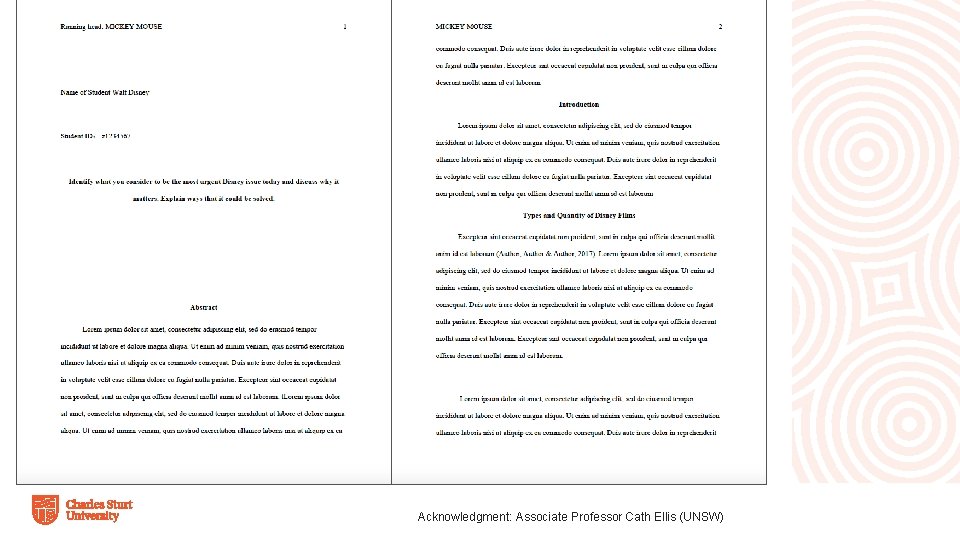 Acknowledgment: Associate Professor Cath Ellis (UNSW) 