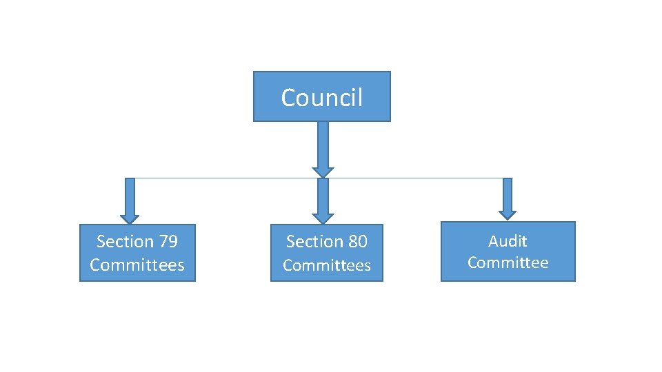 Council Section 79 Committees Section 80 Committees Audit Committee 