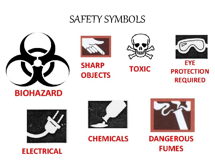 SAFETY SYMBOLS SHARP OBJECTS TOXIC EYE PROTECTION REQUIRED BIOHAZARD CHEMICALS ELECTRICAL DANGEROUS FUMES 
