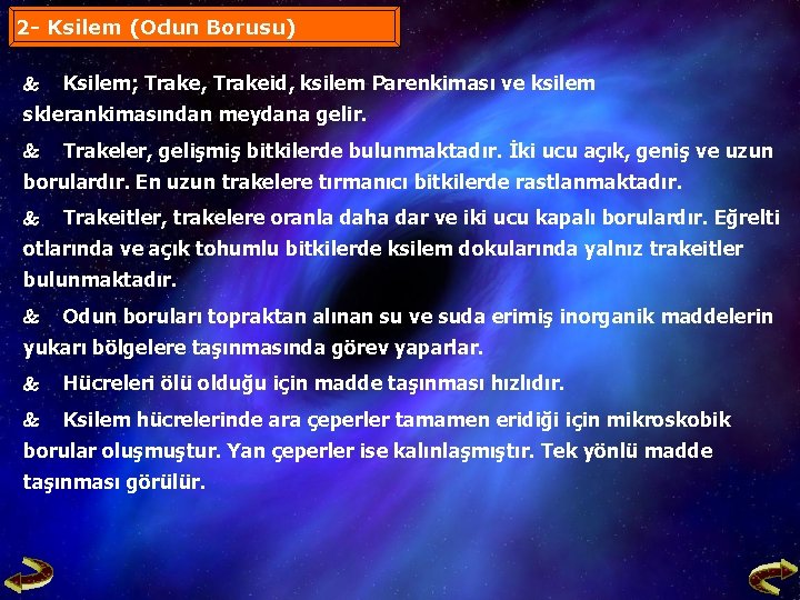 2 - Ksilem (Odun Borusu) Ksilem; Trake, Trakeid, ksilem Parenkiması ve ksilem sklerankimasından meydana