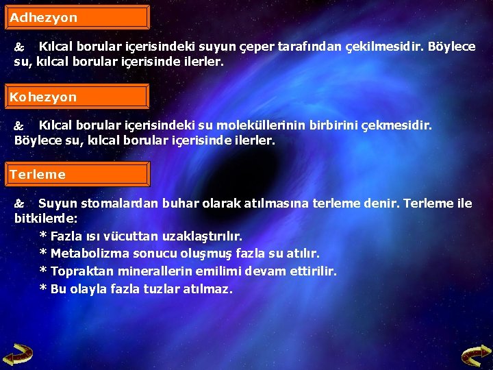 Adhezyon Kılcal borular içerisindeki suyun çeper tarafından çekilmesidir. Böylece su, kılcal borular içerisinde ilerler.