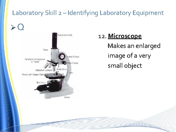 Laboratory Skill 2 – Identifying Laboratory Equipment ØQ 12. Microscope Makes an enlarged image