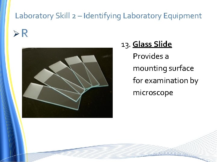 Laboratory Skill 2 – Identifying Laboratory Equipment ØR 13. Glass Slide Provides a mounting