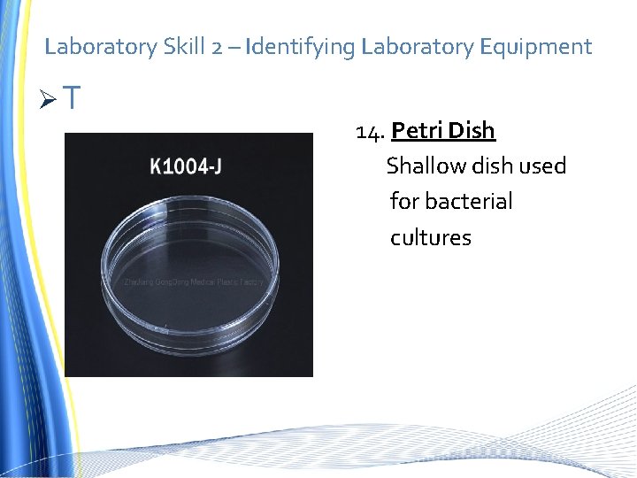 Laboratory Skill 2 – Identifying Laboratory Equipment ØT 14. Petri Dish Shallow dish used