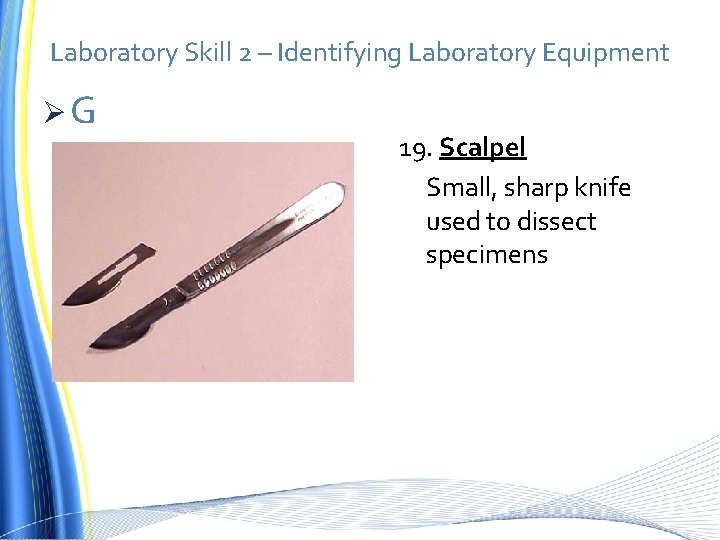 Laboratory Skill 2 – Identifying Laboratory Equipment ØG 19. Scalpel Small, sharp knife used