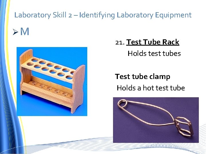 Laboratory Skill 2 – Identifying Laboratory Equipment ØM 21. Test Tube Rack Holds test