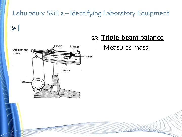 Laboratory Skill 2 – Identifying Laboratory Equipment ØI 23. Triple-beam balance Measures mass 