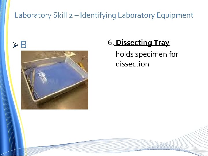 Laboratory Skill 2 – Identifying Laboratory Equipment ØB 6. Dissecting Tray holds specimen for