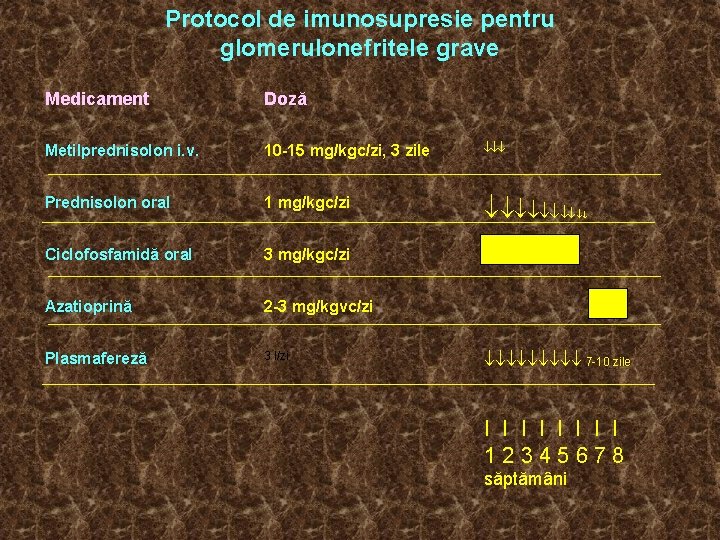 Protocol de imunosupresie pentru glomerulonefritele grave Medicament Doză Metilprednisolon i. v. 10 -15 mg/kgc/zi,