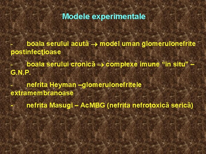 Modele experimentale boala serului acută model uman glomerulonefrite postinfecţioase boala serului cronică complexe imune