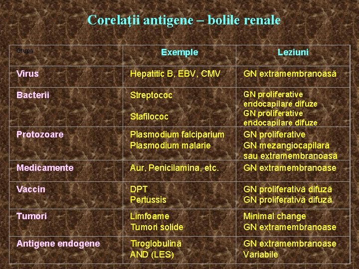 Corelaţii antigene – bolile renale Grupa Exemple Leziuni Virus Hepatitic B, EBV, CMV GN