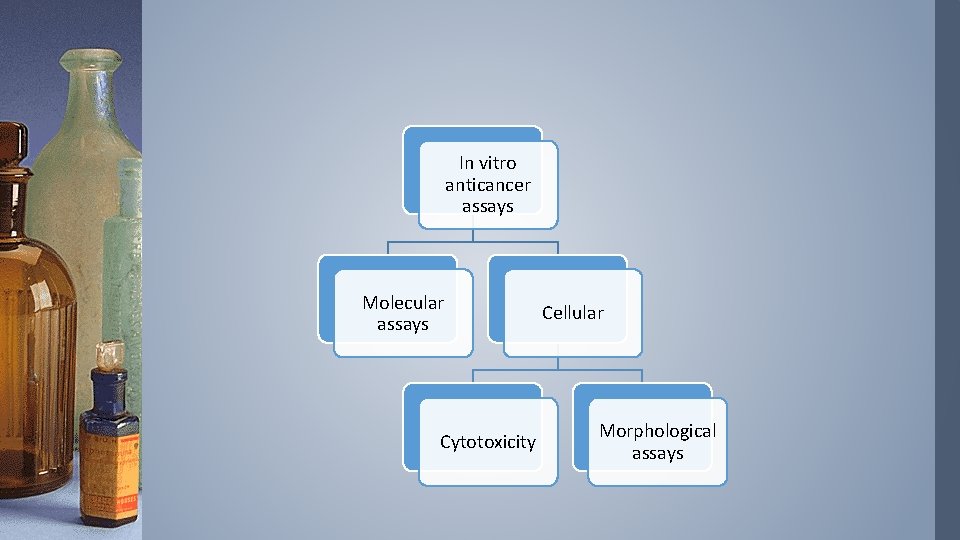 In vitro anticancer assays Molecular assays Cytotoxicity Cellular Morphological assays 