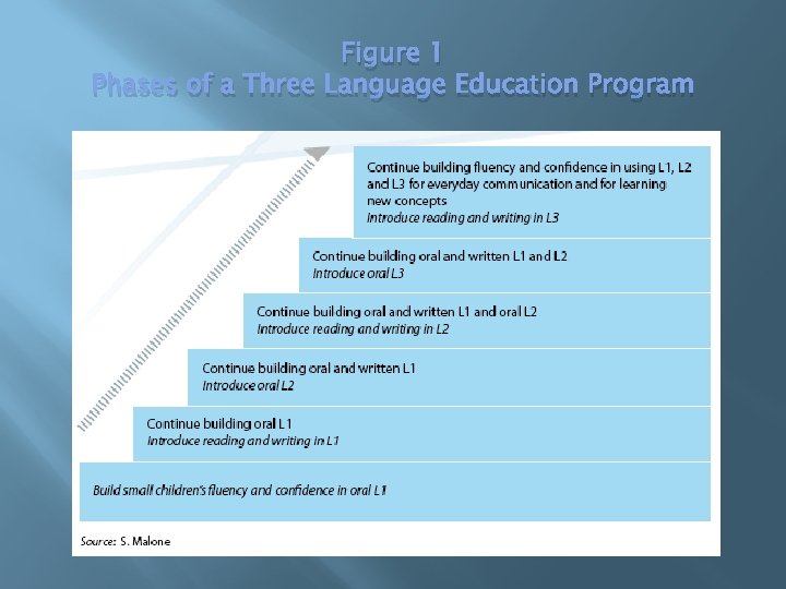 Figure 1 Phases of a Three Language Education Program 