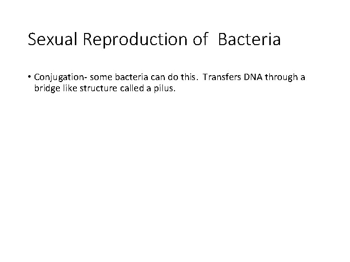 Sexual Reproduction of Bacteria • Conjugation- some bacteria can do this. Transfers DNA through