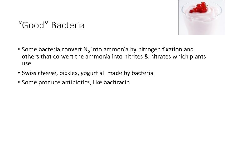 “Good” Bacteria • Some bacteria convert N 2 into ammonia by nitrogen fixation and