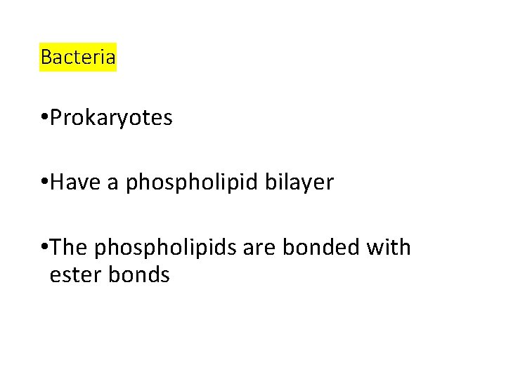 Bacteria • Prokaryotes • Have a phospholipid bilayer • The phospholipids are bonded with