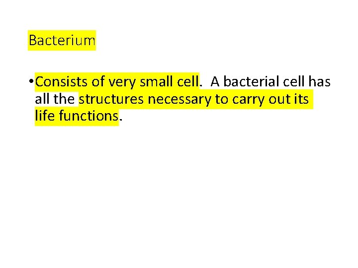 Bacterium • Consists of very small cell. A bacterial cell has all the structures
