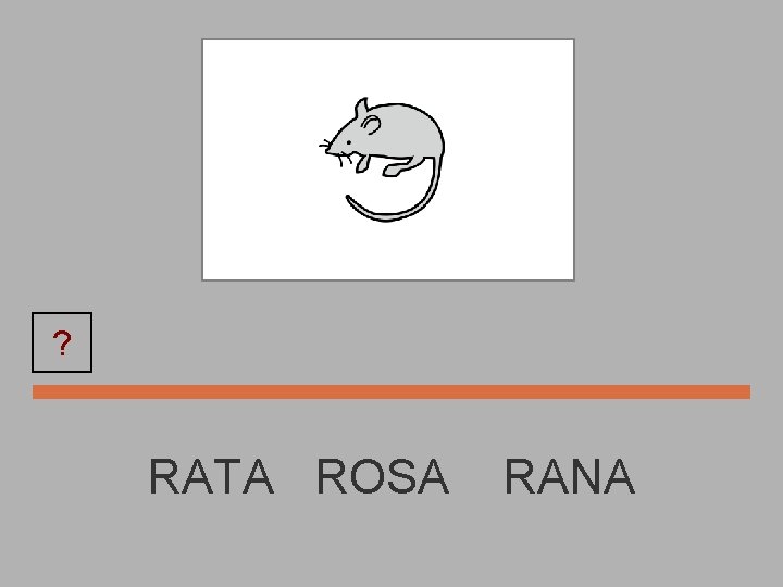 ? RATA ROSA RANA 