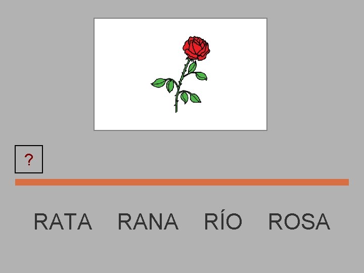 ? RATA ROSA RANA RÍO ROSA 