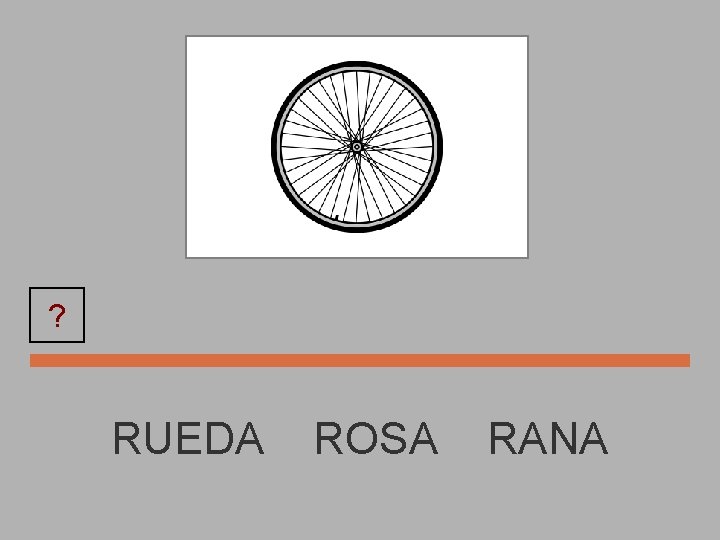 RUEDA ? RUEDA ROSA RANA 